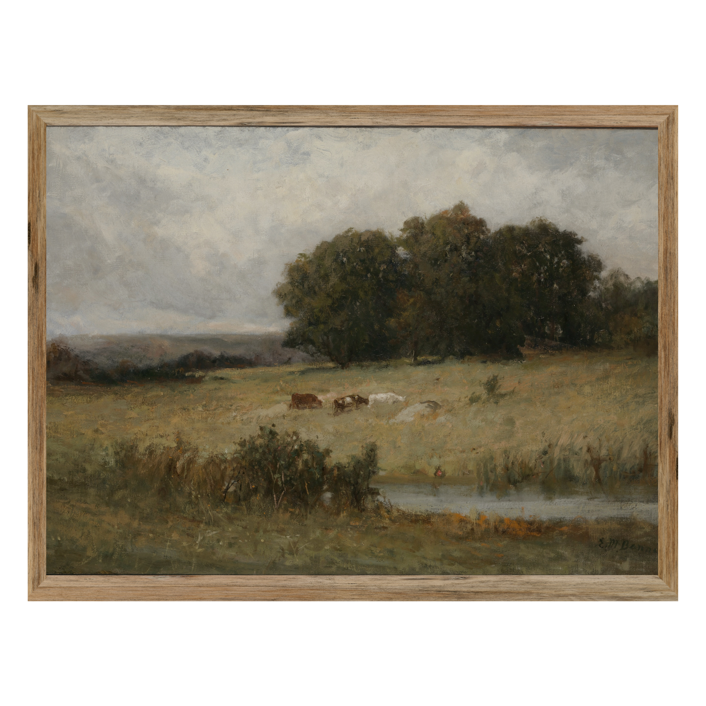 'Moo'dy Cattle
