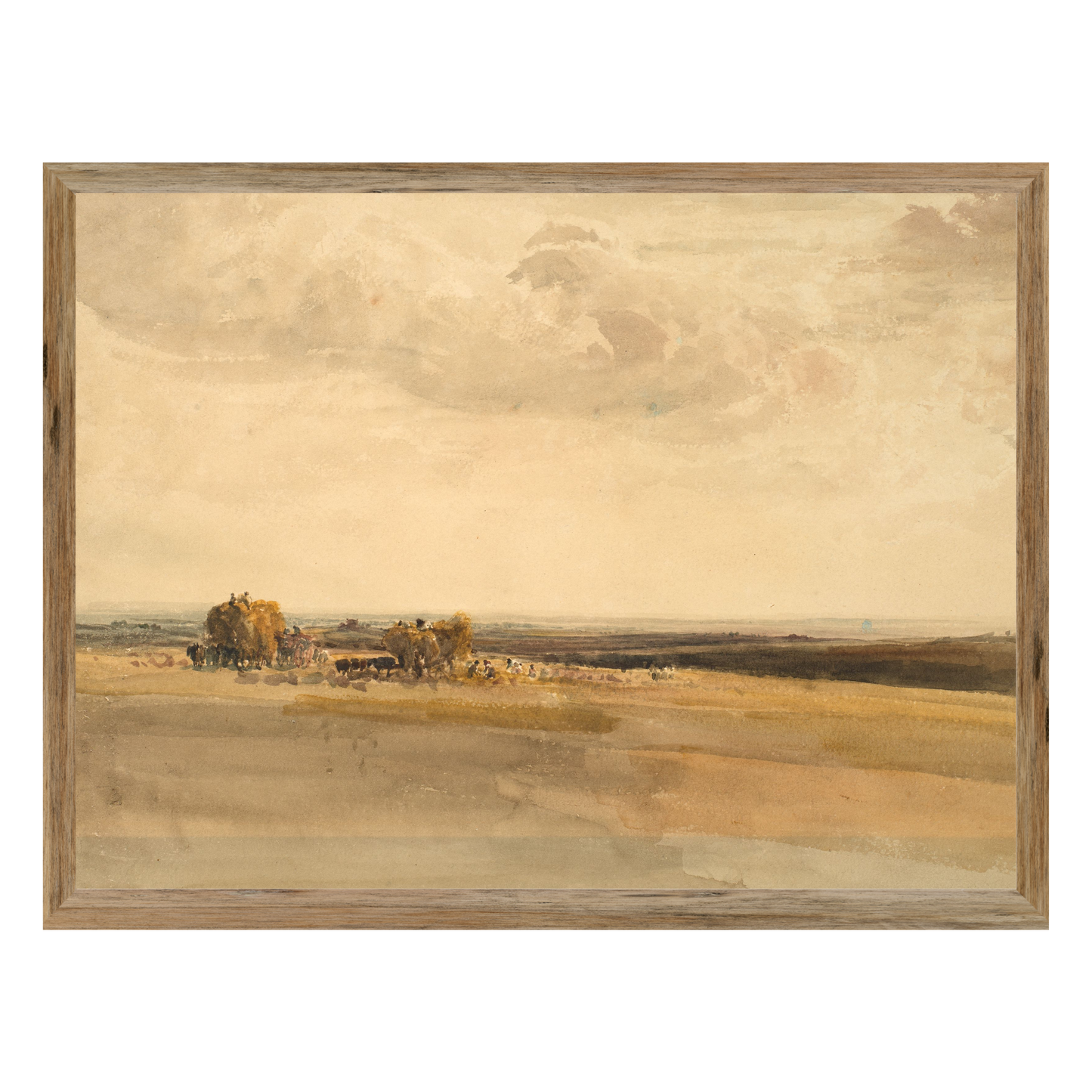 Hazy Harvest