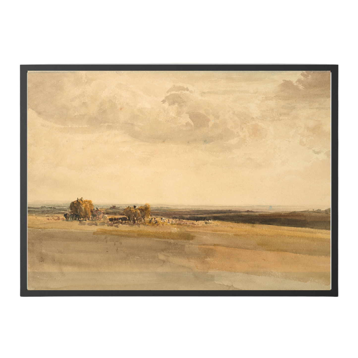 Hazy Harvest