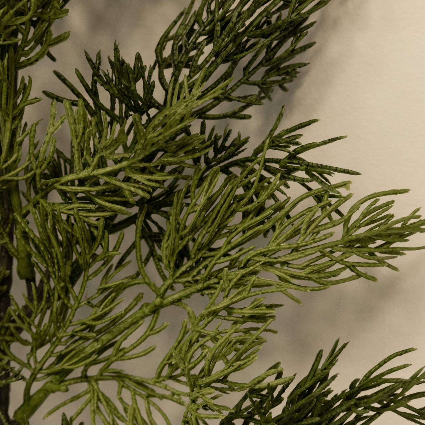 Cedar Spray Fresh Touch