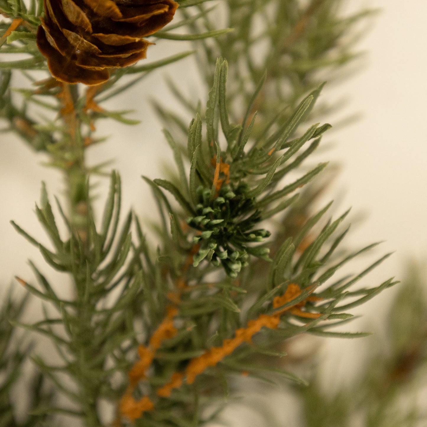 Angel Pine Spray