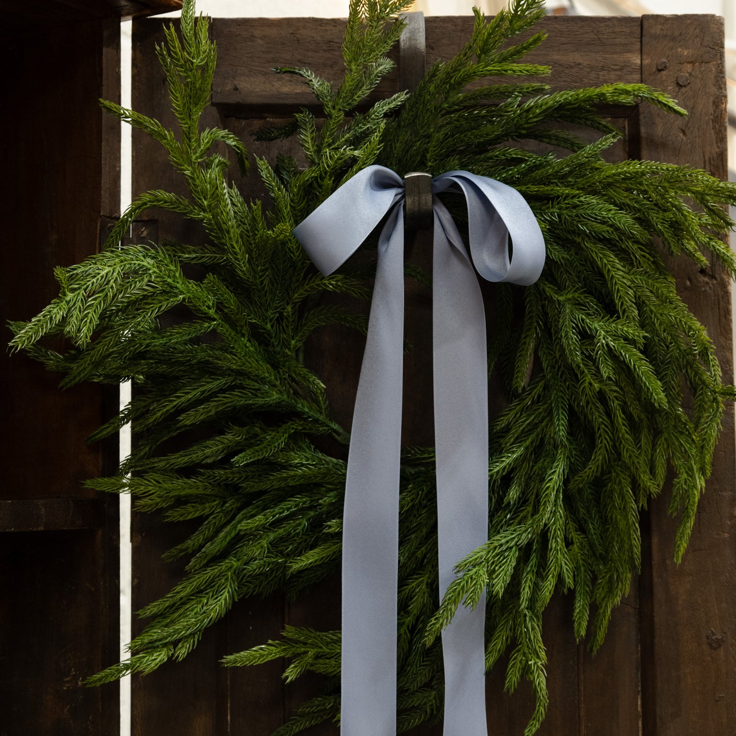24” Norfolk Wreath Fresh Touch