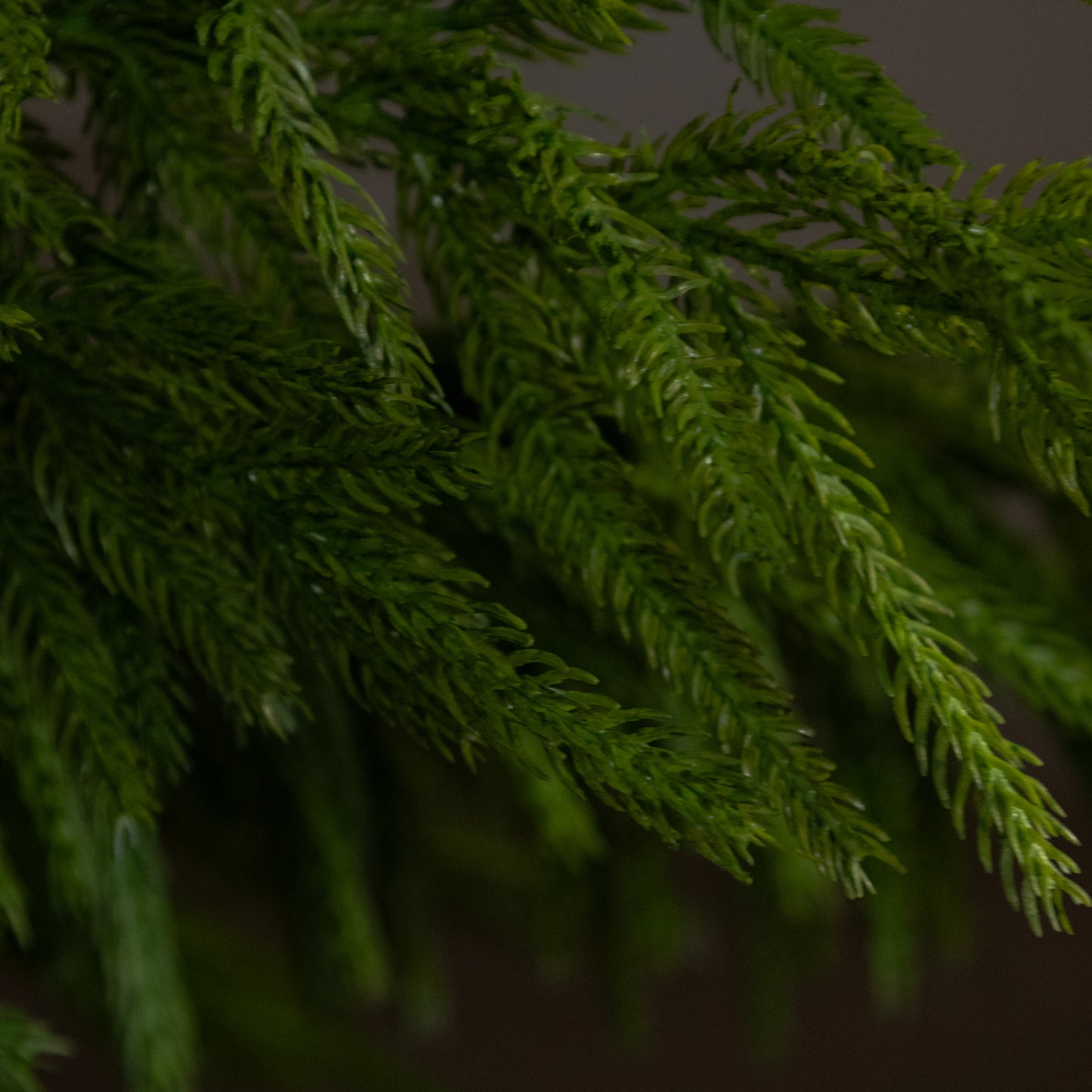 40” Norfolk Branch Fresh Touch
