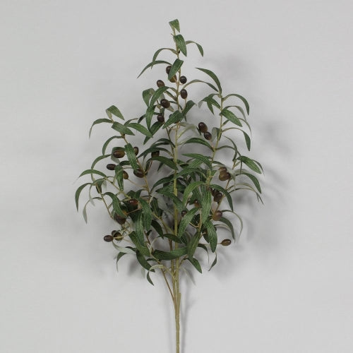 Olive Branch 40"