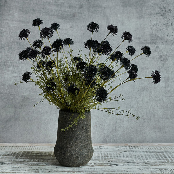 Melaleuca Noir