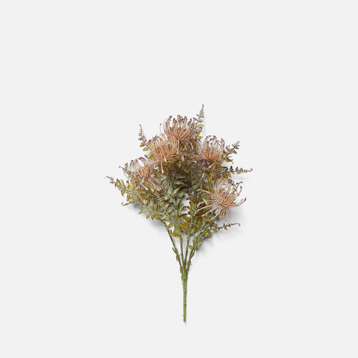 Leucospermum Bush