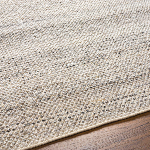 Reika PET Rug No.5