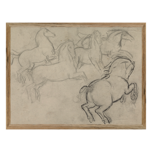 Vintage Horse Sketch