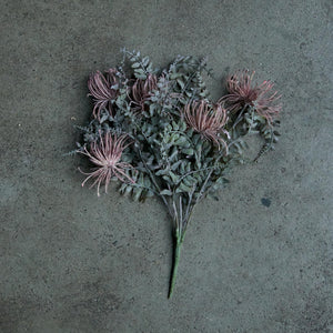 Leucospermum Bundle