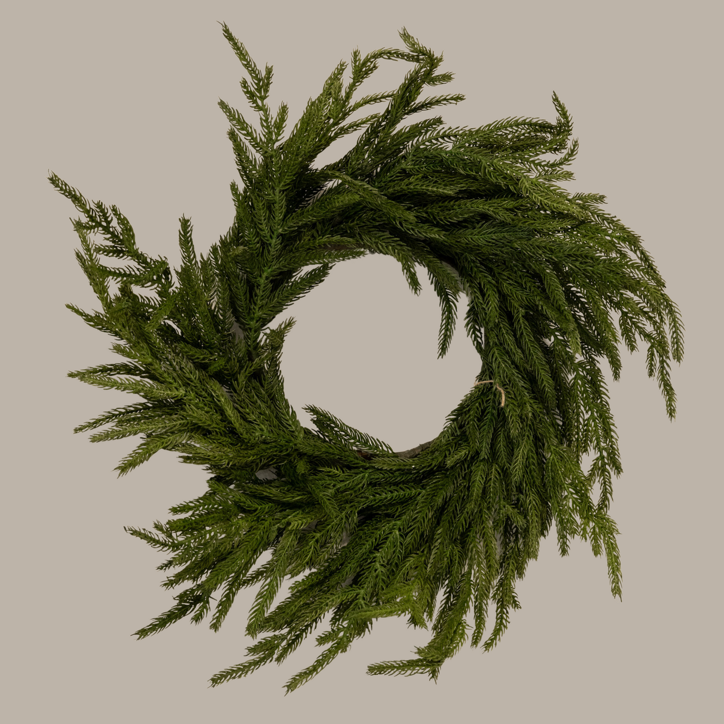20" Norfolk Wreath Fresh Touch
