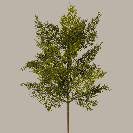 Cedar Spray Fresh Touch