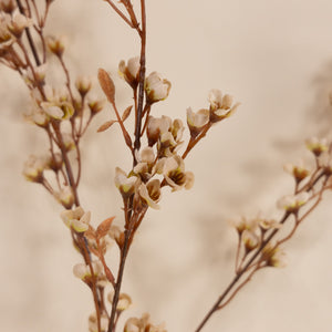Fall Blossom Branch 38"