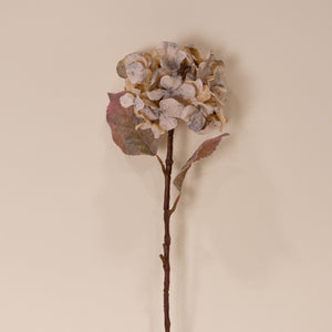 Faded Hydrangea, Créme 18"