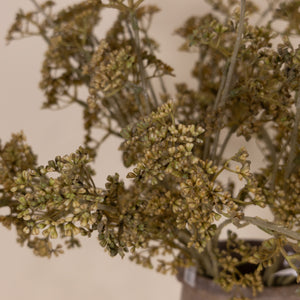 Meadow Grass Bundle, Harvest 20"