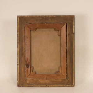 Belgian Bloom 19th c | 16" x 20.25"