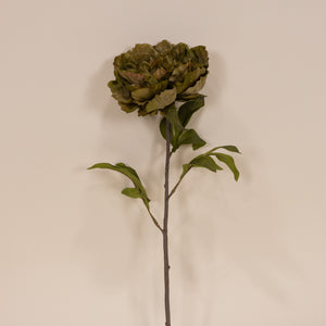 Cabbage Peony, Sage 25"