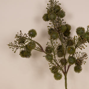 Wildberry Branch, 36"