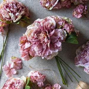 Peony Bundle