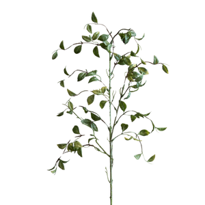 Smilax Spray