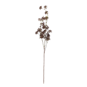 Hogwood Spray 41"
