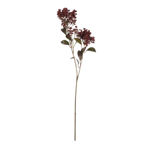 Butterfly Bush, Rouge 32"