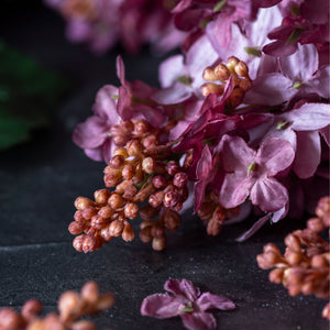 Cone Hydrangea 31.5"