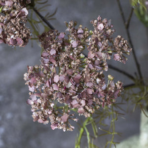 Dill Flower 31"