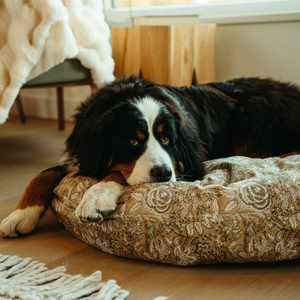 Maggie Dog Bed