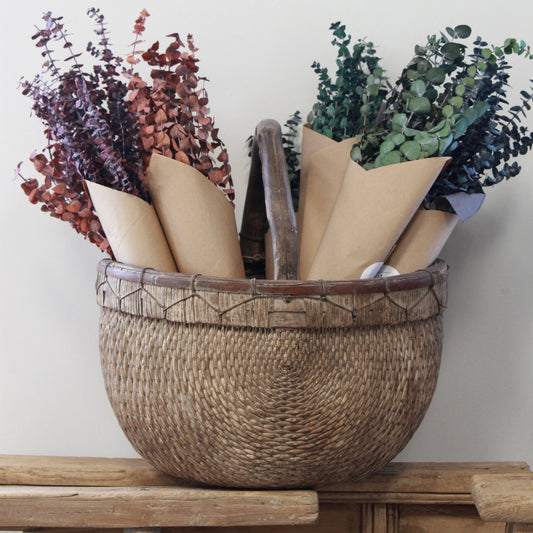 Eucalyptus Bundles