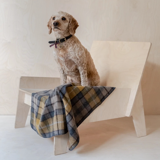 Buchanan Natural Recycled Wool Pet Blanket