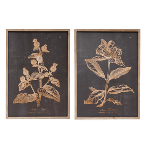 Wood Framed Botanical Print