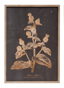 Wood Framed Botanical Print